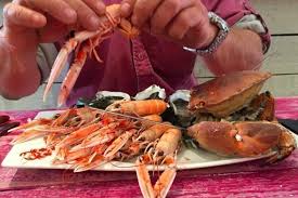 Brest Le Crabe Marteau Res Sort Les Pinces Cote Brest