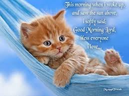 Check spelling or type a new query. Good Morning Good Morning Cat Good Morning Good Morning Images