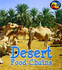 Why do food chains rarely have more than four trophic levels? Desert Food Chains Food Chains And Webs Royston Angela 9781484605288 Amazon Com Books
