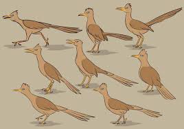 Roadrunner Bird Cartoon Vectors Download Free Vectors Clipart Graphics Vector Art Download transparent clipart dmca repoart! roadrunner bird cartoon vectors