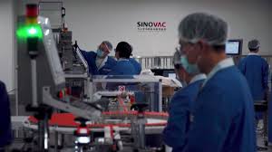 (the sinovac, sinopharm vaccines) are good, but they're just not good enough. Thailand Leaked Memo Raises Concerns Over China S Sinovac Covid 19 Vaccine S Efficacy Cnn