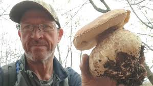 Ricordi Porcini 2022