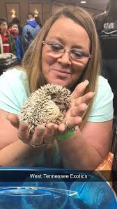 Reptile collection for sale in Louisiana