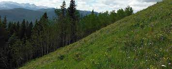 Landscaping steep slopes | hillside landscapes. 5 Steps For Erosion Control On Steep Slopes And Embankments Denbow
