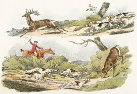 Illustration of a hunter with dogs chasing a stag from the vintage book Sporting Sketches (1817-1818) by Henry Alken (1784-1851). - Traditional visual art under Public domain license