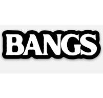 BANGS STICKER — Bryce Bangs