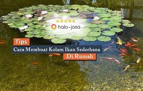 Jenis desain pertama yang bisa digunakan adalah kolam ikan minimalis. Cara Membuat Kolam Ikan Sederhana Di Rumah