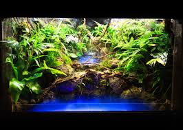 Waterfall Paludarium A Leds De A A Z Projet Termine Page 10 Paludarium Creations Decoration