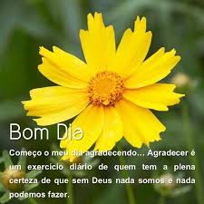 Finally, it's time to examine three very common portuguese expressions: Good Morning Flower In Portuguese For Android Apk Download
