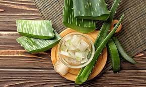 Aloe vera for hair loss is a quite unexplored area in our hair care routine. Aloe Vera For Beard Growth Care Myths And Facts Explained