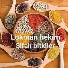 Bu sayfada lokman nedir lokman ne demek lokman ile ilgili sözler cümleler bulmaca kısaca lokman anlamı tanımı açılımı lokman hakkında bilgiler resimleri lokman sözleri yazıları kelimesinin sözlük. Lokman Hekim Sifali Bitkiler Posts Facebook