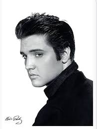 Have loved Elvis for nearly 50 years