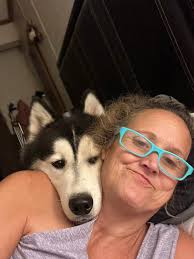 Kalamazoo County Lost/Found Pets