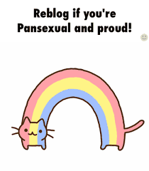 Image result for pansexual pride