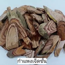 Image result for Hunteria zeylanica