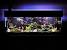 Simple Aquarium Decoration Ideas