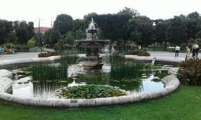Die anlage der universität wien liegt mitten in der innenstadt und bietet eine angenehme abwechslung zum stadttrubel. Volksgarten Volksgarten Garten Wien