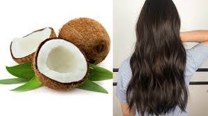 زيت جوز الهند الاخضر لتطويل الشعر اليكم كافة التفاصيل شامل shamel1