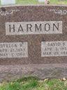David Harmon Family History & Historical Records