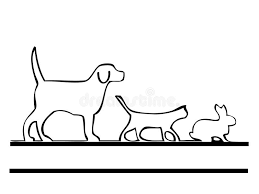 Gato Y Perro Juntos Bajo Manta Blanca Foto De Archivo Imagen De Familia Mascotas 166157562 En esta serie te presentamos los mas lindos dibujos de perros y gatos gratuitos para que tus pequenos puedan colorear en familia. gato y perro juntos bajo manta blanca