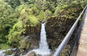 Best forest trails in Otis