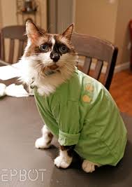 Shop for cat onesie for adults online at target. While I Don T Believe Putting Your Cat In A Onesie Is A Long Term Solution For Over Grooming I Ve Definitely Found There Are Times Whe Cat Onesie Cat Diy Cats