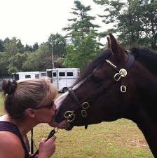 Ashland Welsh Ponies & Cobs