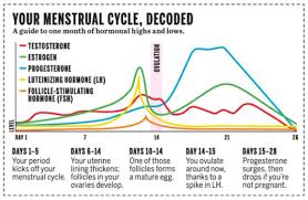 Hormone Graph Hormones Menstrual Cycle Follicle Stimulating Hormone