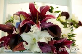 Maybe you would like to learn more about one of these? Bridal Bouquet Burgundy Purple White Flowers By Jerry Rochester Mn Wedding Flowers Purple And White Flowers Bridal Bouquet