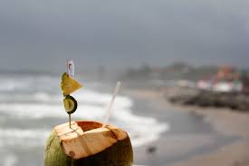 We did not find results for: Can Dogs Drink Coconut Water Key Nutrients Benefits