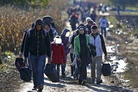 Acquista, vendi, fai affari e scambia oggetti da collezione facilmente con la comunità di collezionisti di colnect. Migranti Ungheria Espelle Richiedenti Asilo Afghani Firenze Post