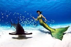 Image result for real mermaid