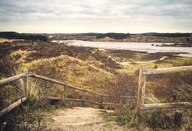 Burgemeester halsema van amsterdam wil meer, meer, meer. Von Amsterdam Ans Meer Mein Ausflug In Den Nationalpark Blog
