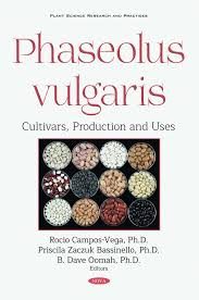 Image result for Phaseolus vulgaris
