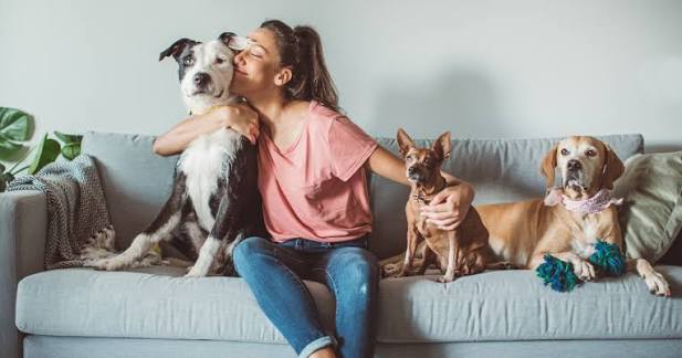 Is pet sitting a real career? | Pet Sitters International