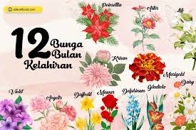 We did not find results for: 12 Makna Bunga Sesuai Bulan Kelahiran Januari Desember