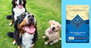 Professional dry food for puppy, large breed chicken and. Best Dry Dog Food According To Experts And Veterinarians