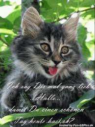 Lustige dienstag bilder animierte gif. Schonen Tag Facebook Bilder Whatsapp Bilder Gb Bilder Jappy Bilder