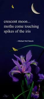 Haiku Poem Crescent Moon By Michael Mcclintock Haiku Poems Haiku Poetry Poetry Words