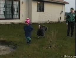 You may find a thanksgiving gif or animated gif you would enjoy having on your website. Turkey Gifs Page 3 Wifflegif