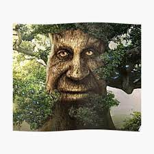 Wise Mystical Elucidative Tree Original Art [Hi-Res]