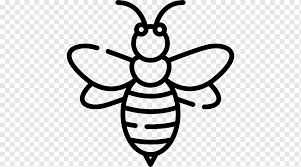 Sketsa kupu kupu yang indah sekali kupu easy butterfly sumber : Lebah Madu Barat Serangga Lebah Lebah Madu Monokrom Serangga Png Pngwing