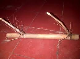 Tapi bukan cuma bambu petuk saja, melainkan kita akan membahas semua bambu bertuah seperti bambu bunten dan bambu bertuah lainnya. Nabila Fitriyani Menguasai Bambu Petuk Dan Jenisnya