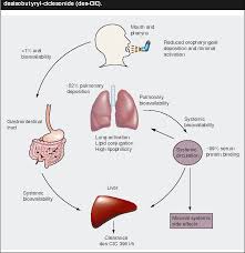Image result for Inhaled Ciclesonide