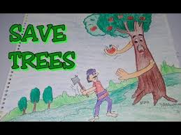 drawing tutorial save trees dont cut trees easy