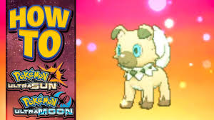 Check spelling or type a new query. Rockruff Own Tempo Qr Code 08 2021