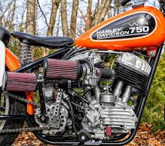 Image result for Dark Victory Red 1994 FXSTS