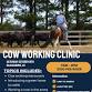 Cow Working Clinic event image