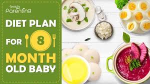 diet plan for a 8 month old baby