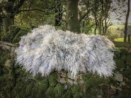 The Living Rug Company Is Brilliant Felted Rugs No Skins